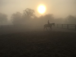 Fototapeta na wymiar silhouette of horse and rider at sunrise 