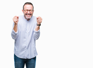 Fototapeta premium Middle age hoary senior man wearing glasses over isolated background excited for success with arms raised celebrating victory smiling. Winner concept.