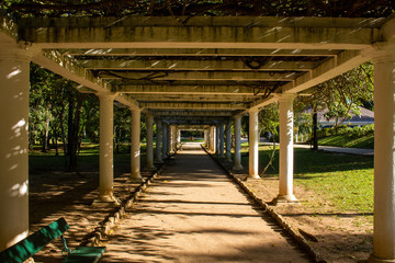 Naklejka premium Botanical Garden of Rio de Janeiro Brazil