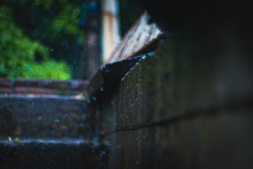 Fondo natural con gotas lluvia