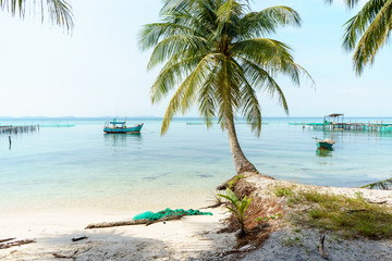 Fototapeta na wymiar The Starfish beach with palm trees, Phu Quoc island, Vietnam