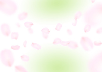 新緑に舞う花びら