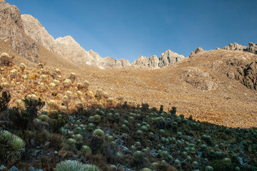 Sierra Nevada National Park, Venezuela.