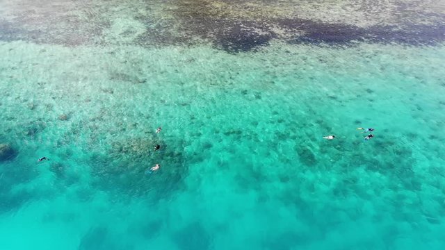 Aerial of snorkelers on reef
