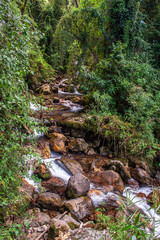 Fototapeta na wymiar Sierra Nevada National Park, Venezuela.