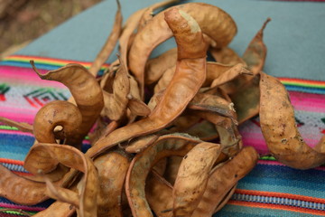 Semillas de algarrobo blanco sobre aguayo