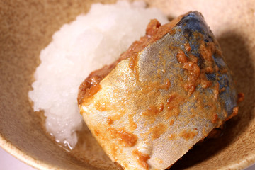大根おろしとサバの味噌煮