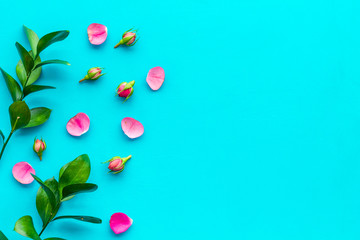 Rose flowers background. Rose roses on blue background top view copy space border