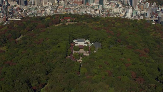 Tokyo, Japan circa-2018.  Aerial view of Yoyogi Park and Meiji Jingu shrine.  Shot from helicopter with RED camera.