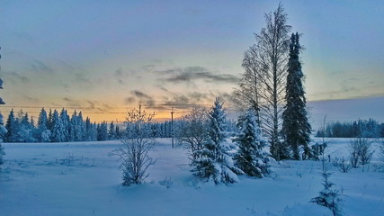 A field covered with a thick layer of snow, snow-covered trees against the backdrop of a bright sunset.