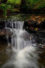 Fototapeta na wymiar Water flowing down British woods stream.