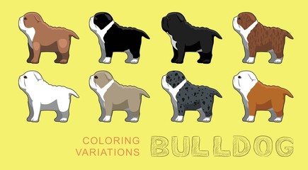 Dog Bulldog Coloring Variations Vector Illustration
