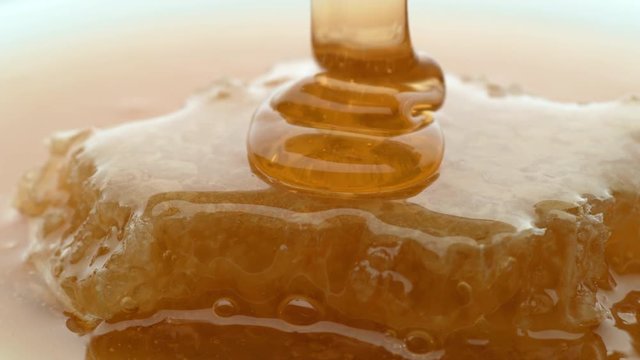 Honey pouring over honey comb in slow motion, shot on Phantom Flex 4K