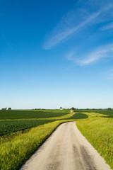 Fototapeta na wymiar Country road in the rural Midwest. Bureau County, Illinois, USA