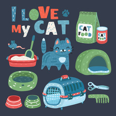 Cat food, thing and toys.