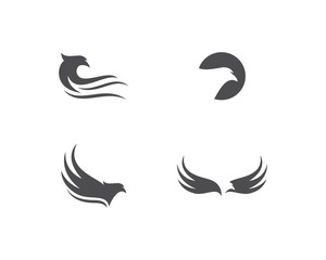 Falcon Eagle Bird Logo Template