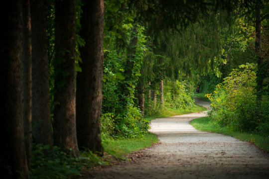 Walking Path at Cuyahoga Valley National Park