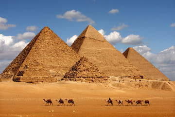 pyramids giza cairo in egypt with camel caravane panoramic scenic view - obrazy, fototapety, plakaty