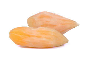 Smallanthus sonchifolius (yacon) isolated on white background