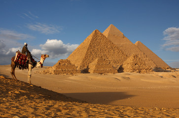 pyramids of giza,cairo,egypt with bedouin on camel in foreground - obrazy, fototapety, plakaty