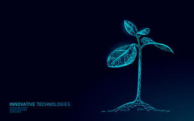 Plant sprout ecological abstract concept. 3D render seedling tree leaves. Save planet nature environment grow life eco polygon triangles low poly vector illustration