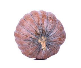 pumpkin isolated on the white background