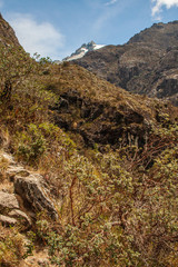 Sierra Nevada National Park. Venezuela.