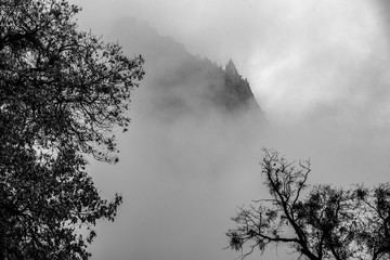 Black and White shot taken at Yosemite park, with a gap in the mist showing a rugged mountain side framed by winter trees