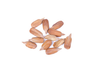 Healthy sun-flower seeds on a white background
