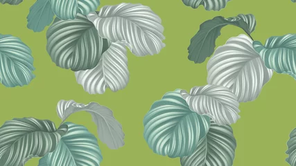 Gordijnen Tropical seamless pattern,  green Calathea orbifolia plants on green background, pastel vintage style © momosama