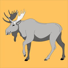 moose, vector illustration , flat style, profile 