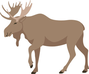 moose, vector illustration , flat style, profile 