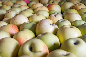 organic apples background