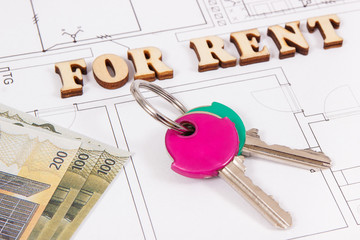 Inscription for rent, home keys and currencies euro on electrical construction housing plan,...