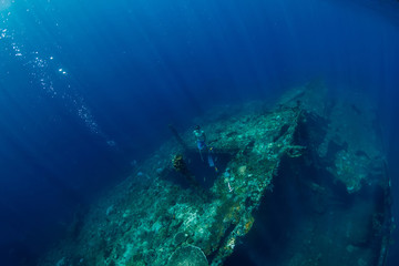 Fototapeta na wymiar Free diver man dive at shipwreck, underwater