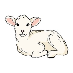 Cute lamb doodle. Hand drawn image of a small sheep