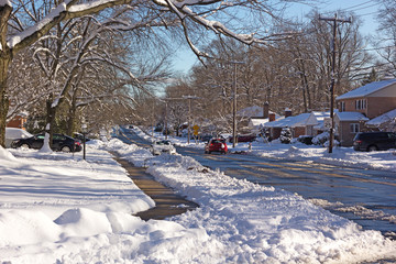 A neighborhood road after a heavy snowstorm in Falls Church, Virginia, USA. Layer of snow on tree branches after the storm.