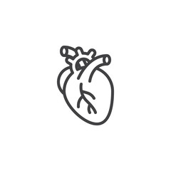 Human heart line icon. linear style sign for mobile concept and web design. Anatomical human heart organ outline vector icon. Anatomy symbol, logo illustration. Pixel perfect vector graphics