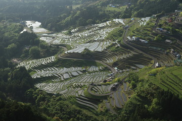 棚田