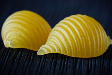 Pasta Shells