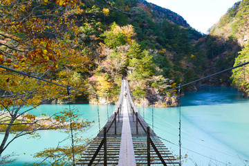 夢の吊り橋