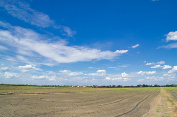 field and blue sky