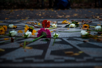 Flowers on the ground