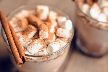 Hot Chocolate drink with marshmallow and cinnamon in old-fashioned glass. Selective focus.
