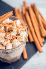 Hot Chocolate drink with marshmallow and cinnamon in old-fashioned glass. Selective focus.