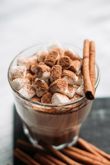 Hot Chocolate drink with marshmallow and cinnamon in old-fashioned glass. Selective focus.