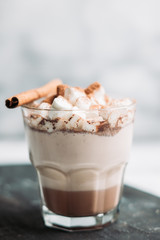 Hot Chocolate drink with marshmallow and cinnamon in old-fashioned glass. Selective focus.