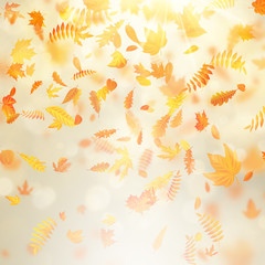 Beautiful autumn background with maple autumn leaves and delicate sun. EPS 10