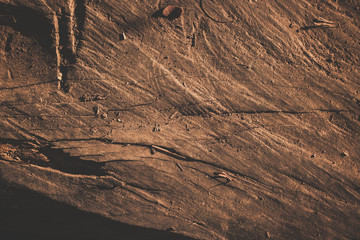 old wood background
