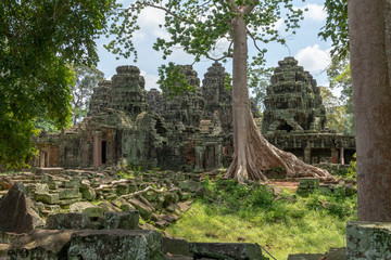 Rear of ruined stone temple in trees